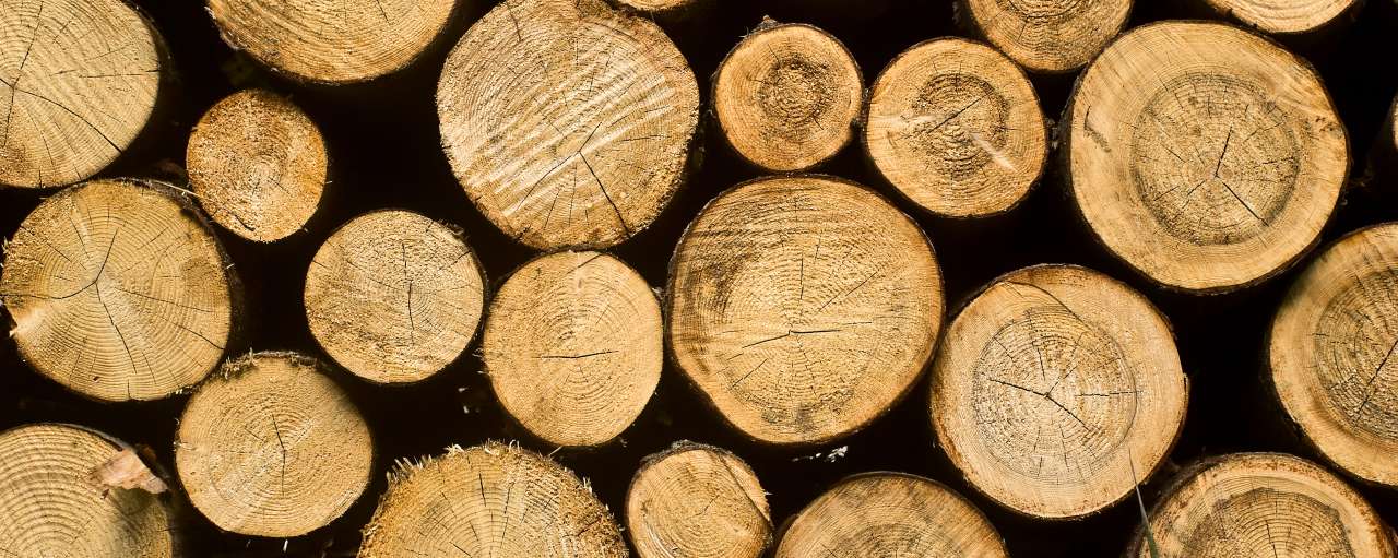 fsc-hout Houtskool & Briketten van duurzame bron